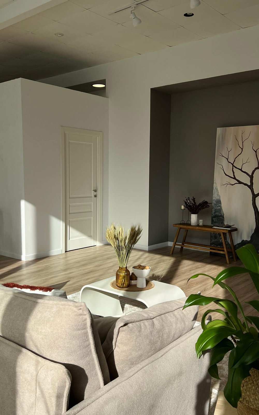 фотостудия